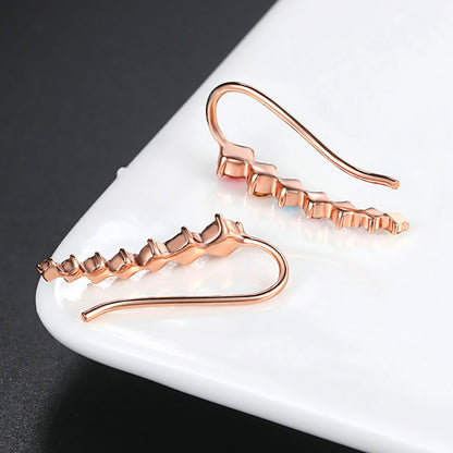 Astra Zirconia Crystal Earrings – Serenyah