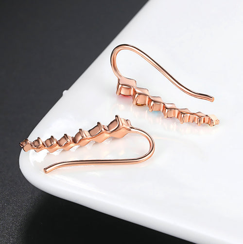Astra Zirconia Crystal Earrings – Serenyah
