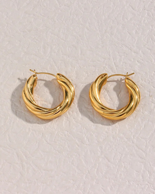 Aretes de Acero Inoxidable Retorcido Vienne Hoops – Serenyah