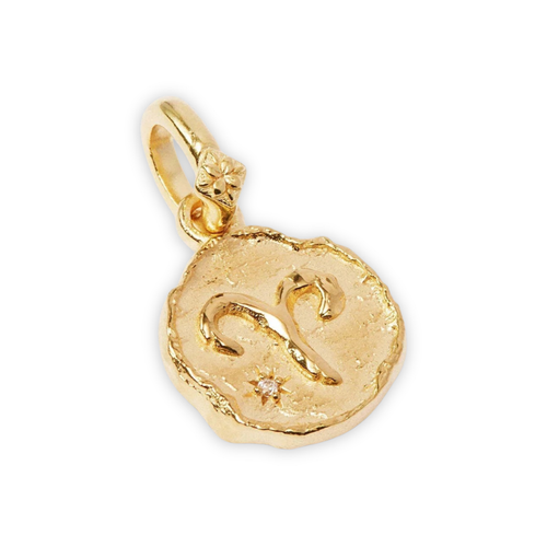 Zodiac Coin Pendant Necklace | All 12 Signs | Gold-Plated Stainless Steel Serenyah